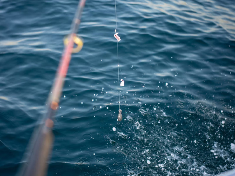 Fishing rod over the blue ocean