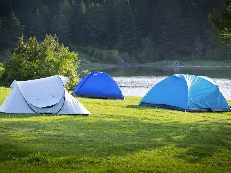 Tents set up on a grassy lakeside